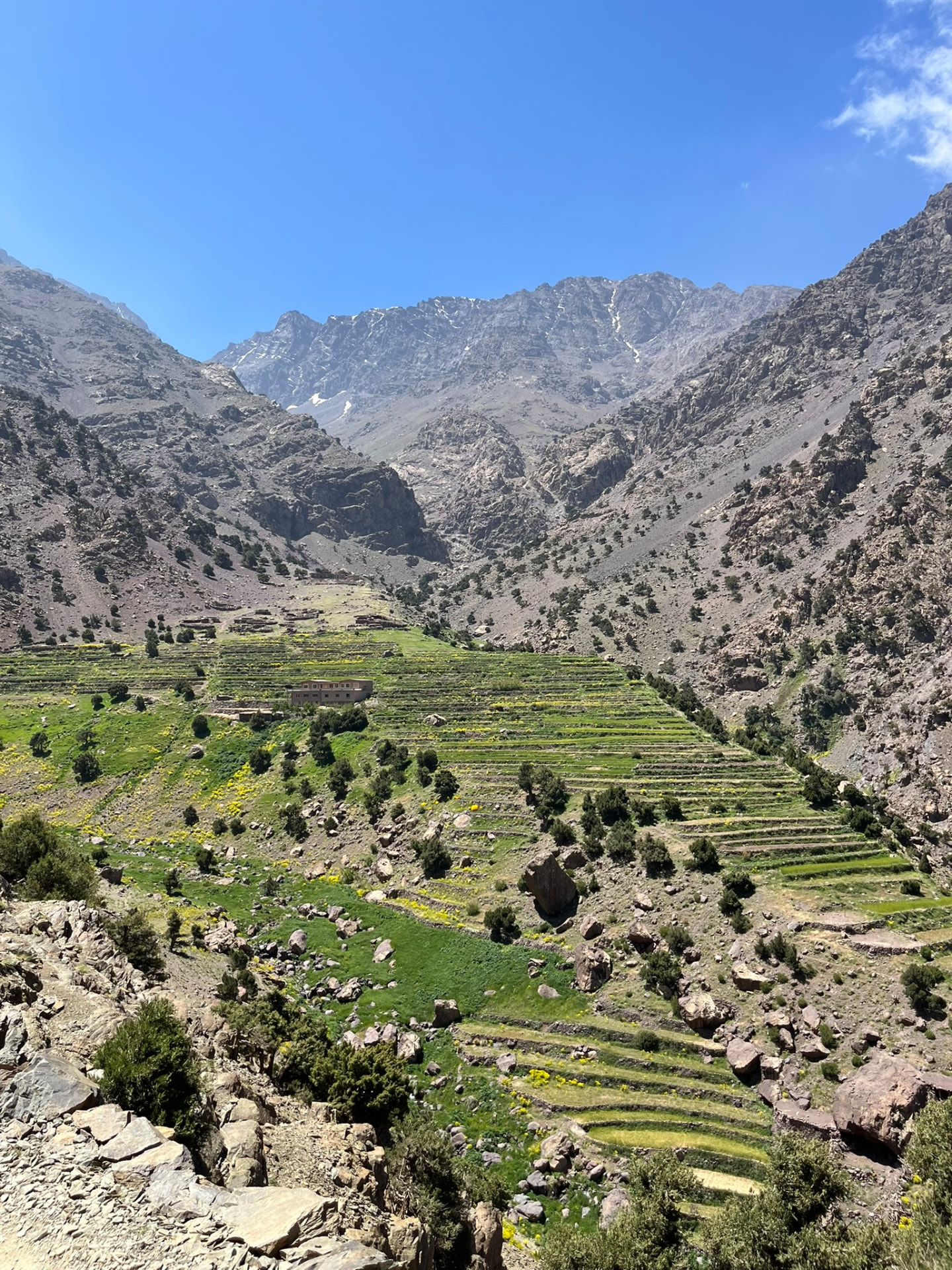 Terraced fields in an Atlas valley beneath high rocky peaks